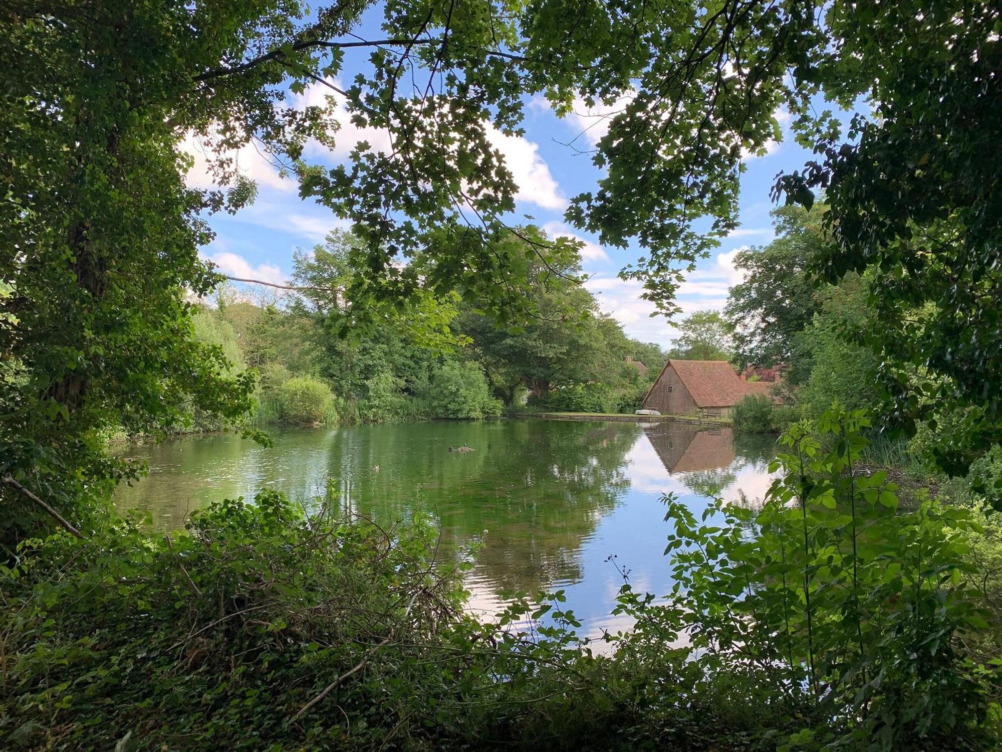 Moorhen Cottage Hollingbourne Bagian luar foto